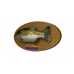 SEGA Bass Fishing Trophy Plaque